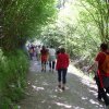 SudiMaitour07-009