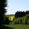 SudiMaitour07-051